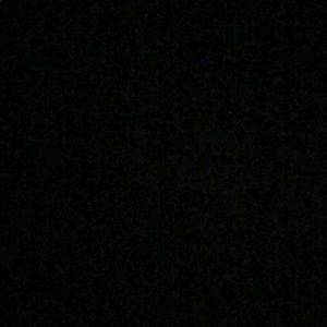 Meet your Posher, Annie